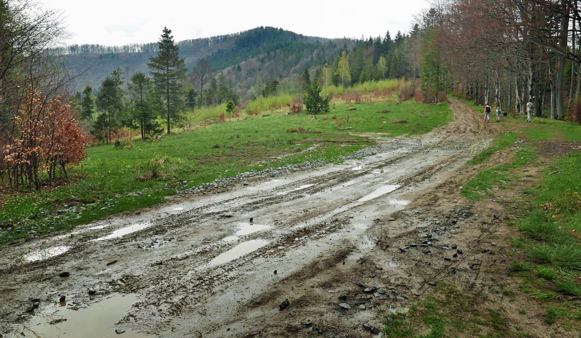 Przełęcz Opaczne, view of Jałowiec summit