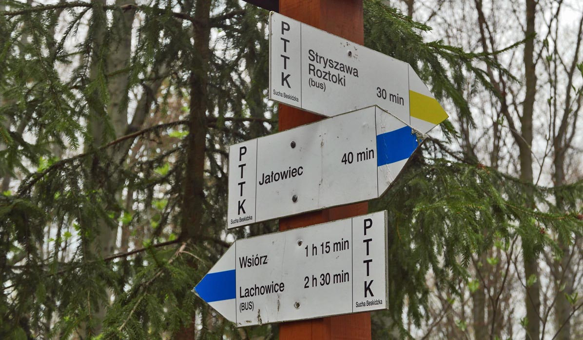 Blue trail from Jałowiec to Stryszawa - departure from the yellow trail
