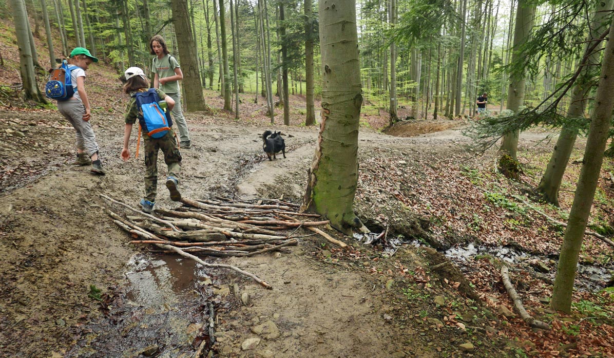 Blue trail Jałowiec - Stryszawa: streams in the valley