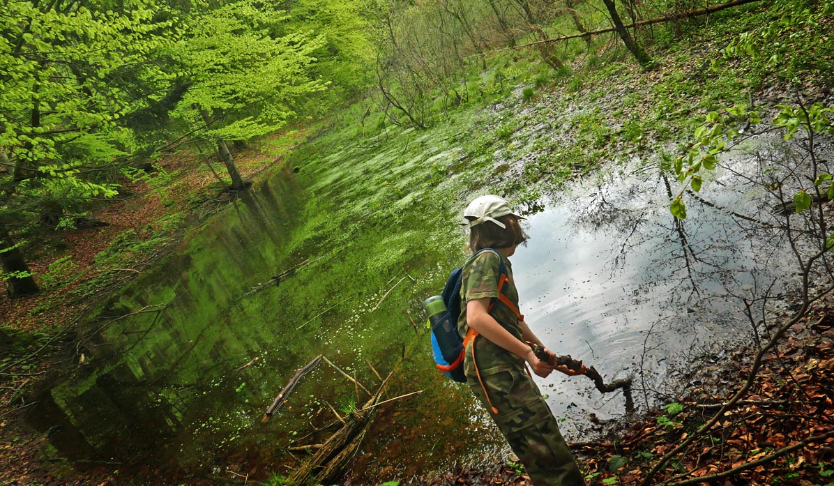 Blue trail Jałowiec - Stryszawa: forest ponds and backwaters