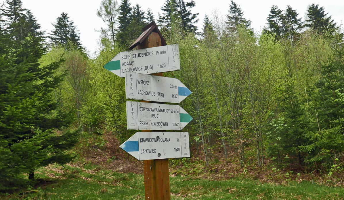 Green trail to Stryszawa Matusy