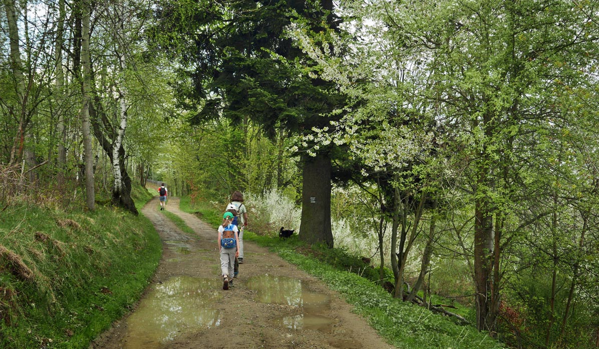 Ridge walk - Stryszawa, Wsiórz