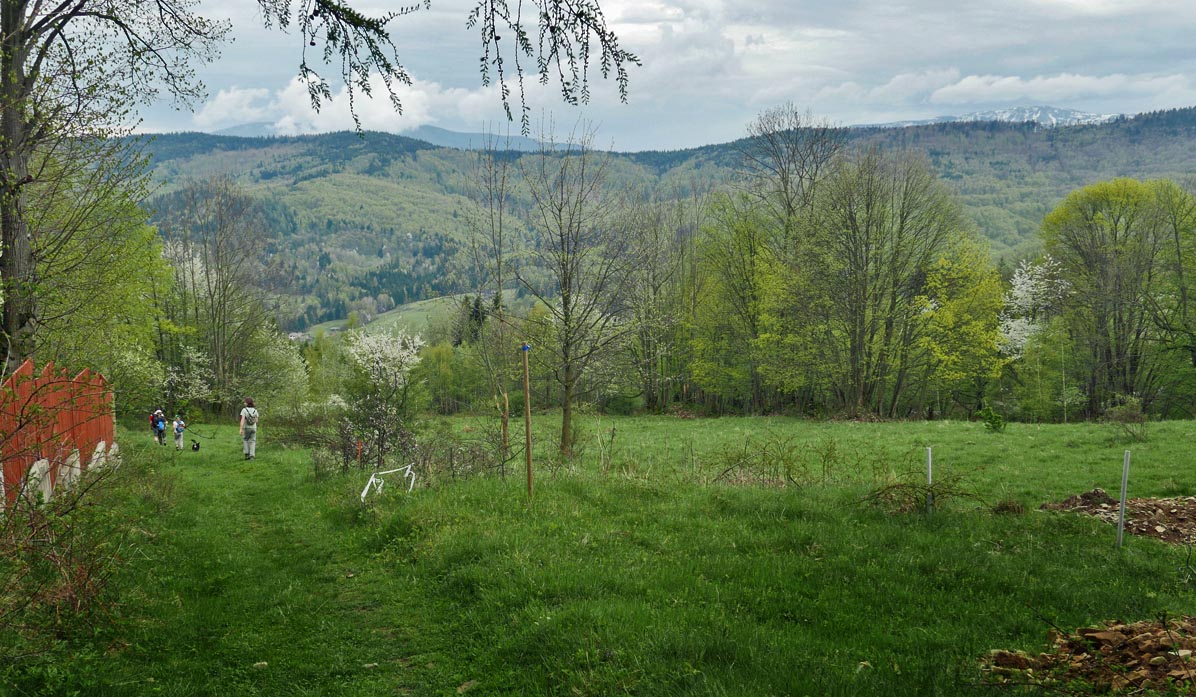 Descent on the green trail to Stryszawa Matusy: Jałowiec Range and the peaks of Policy and Diablak (Babia Góra)