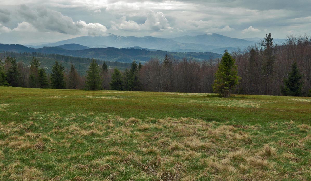 View from the top of Jałowiec: Pilsko 