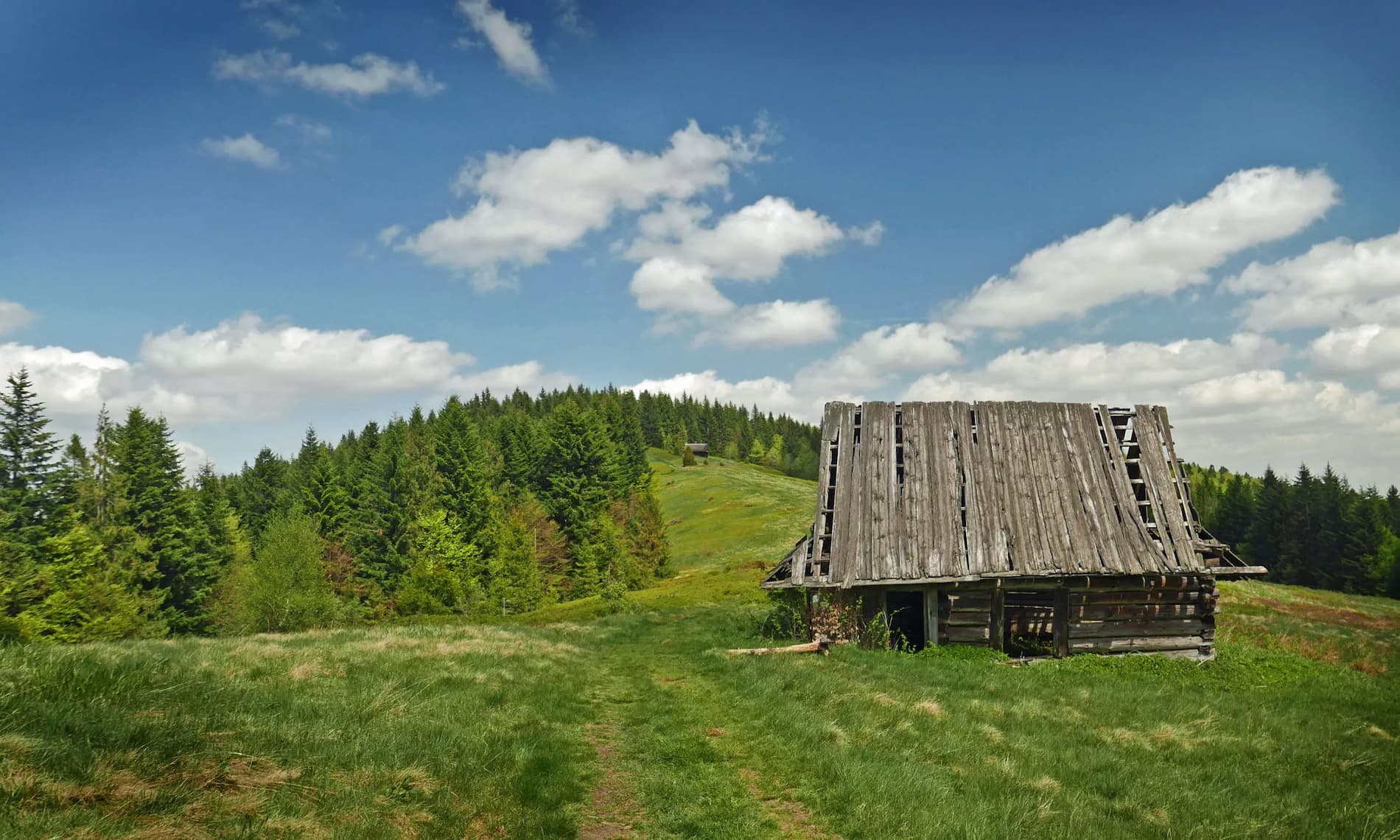Polana Podskały