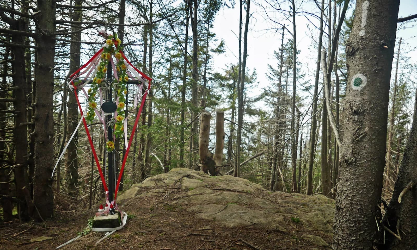 Kudłoń, 1274 m n.p.m. - zalesiony szczyt
