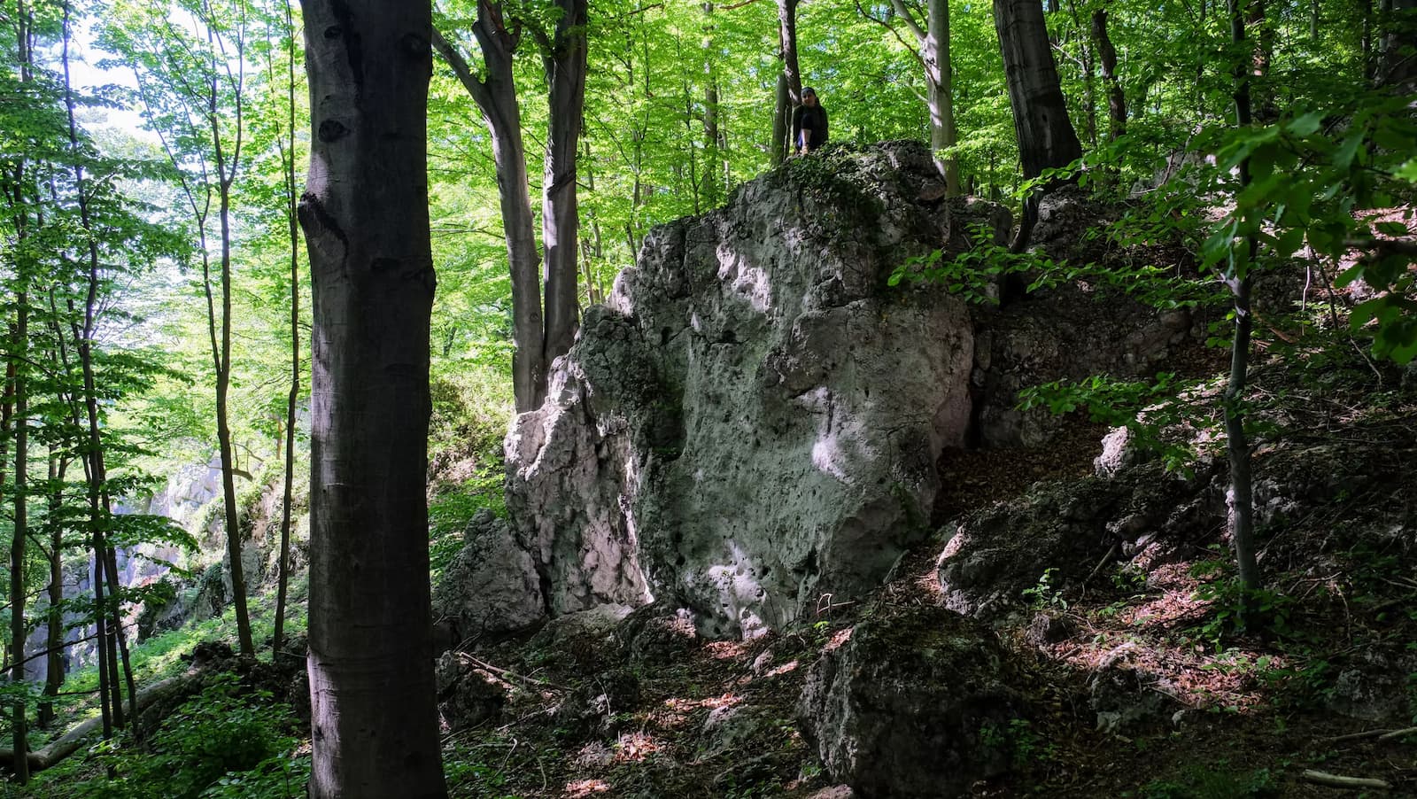 Rezerwat Dolina Szklarki - czerwony szlak
