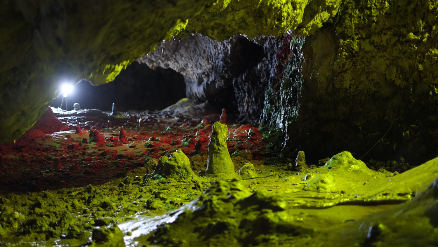 Jaskinia Nietoperzowa - stalagmity