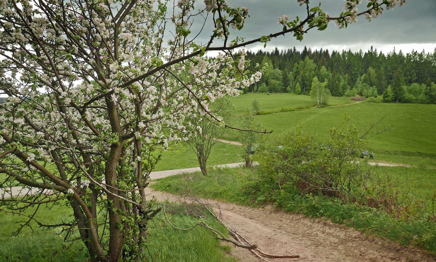 Przysłopek Pass