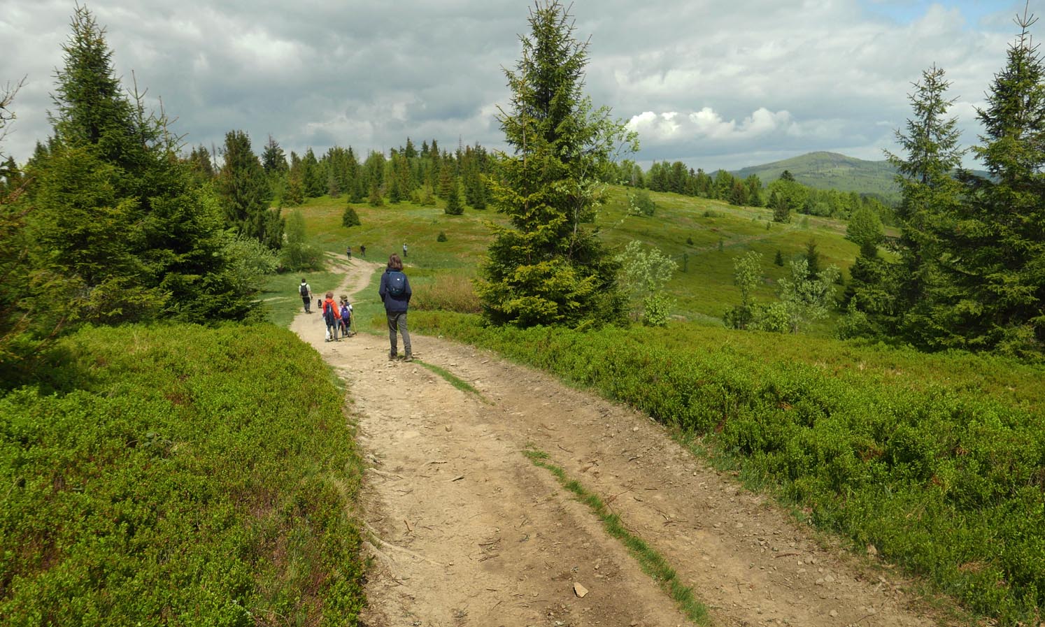 Jasień - view of Polana Skalne, Kutrzyca, and Mogielica (summit with a tower, on the right)