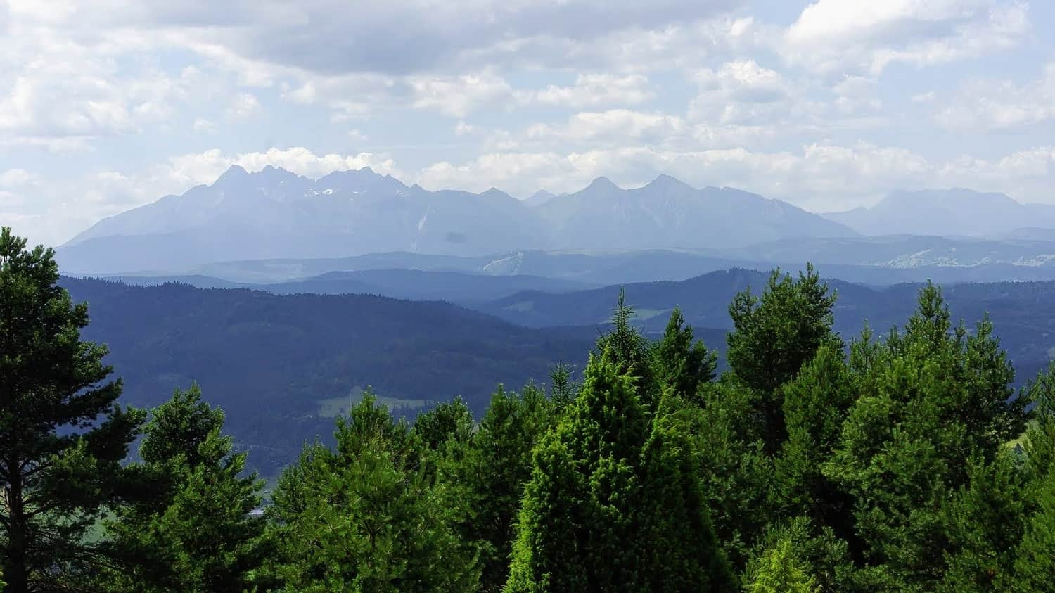 Widok na Tatry z trasy grzbietem Małych Pienin