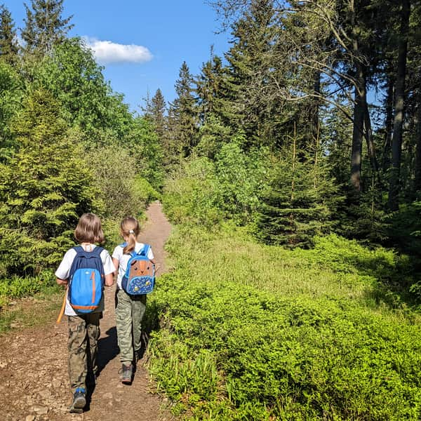 Glinne Pass - Hala Miziowa, red border trail