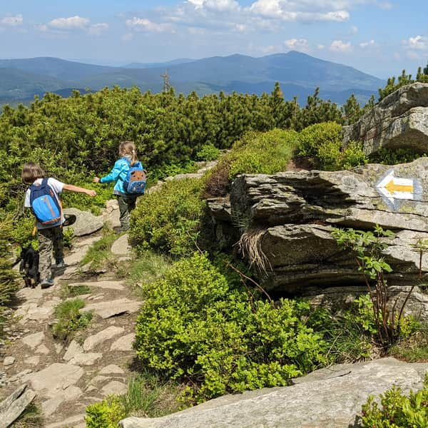 Yellow trail to Pilsko from Hala Miziowa