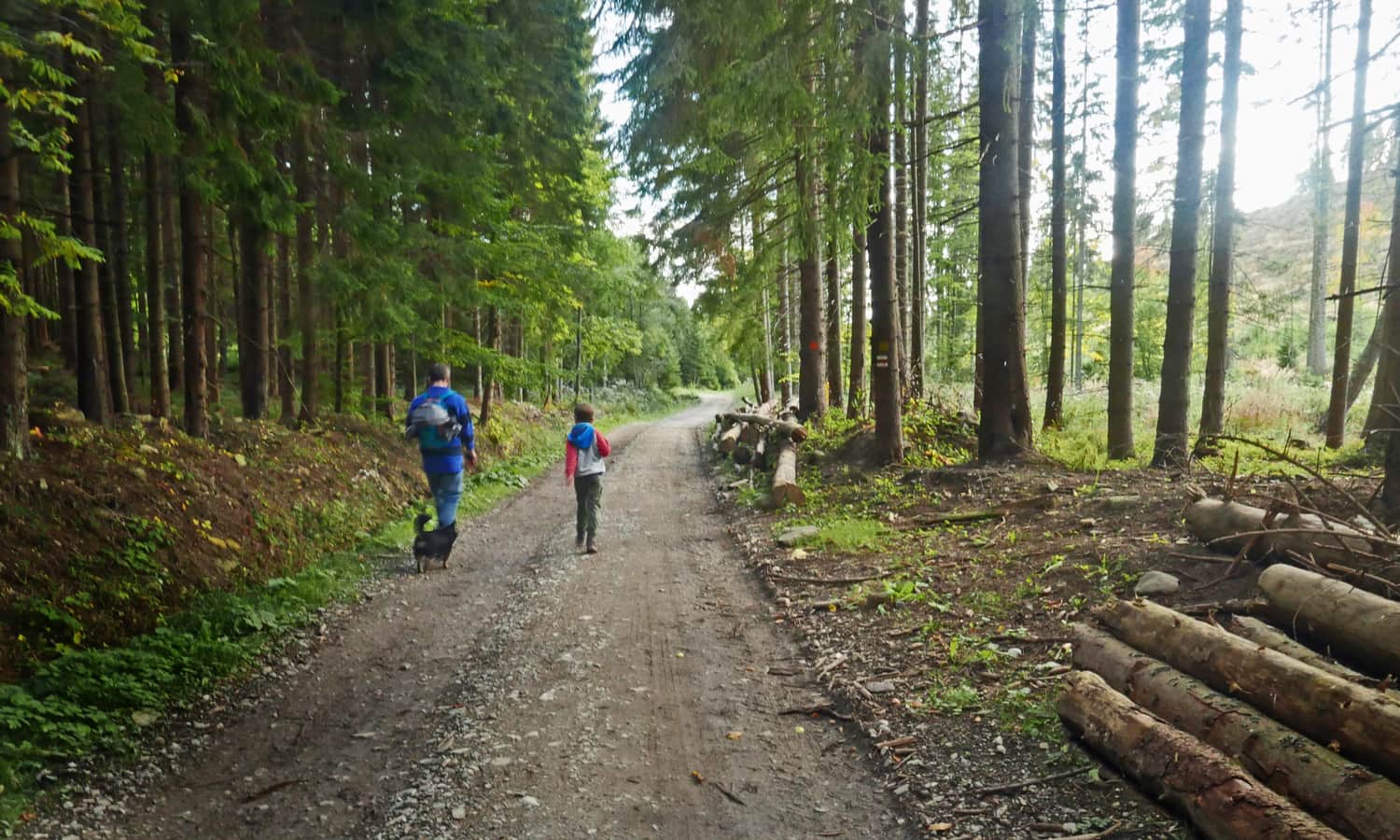 Czerwony szlak z Małej Babiej Góry do Slanej Vody - ostatni odcinek