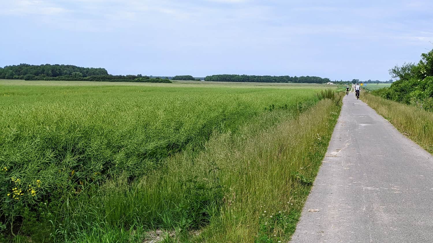 Trasa rowerowa Trzebiatów - Mrzeżyno