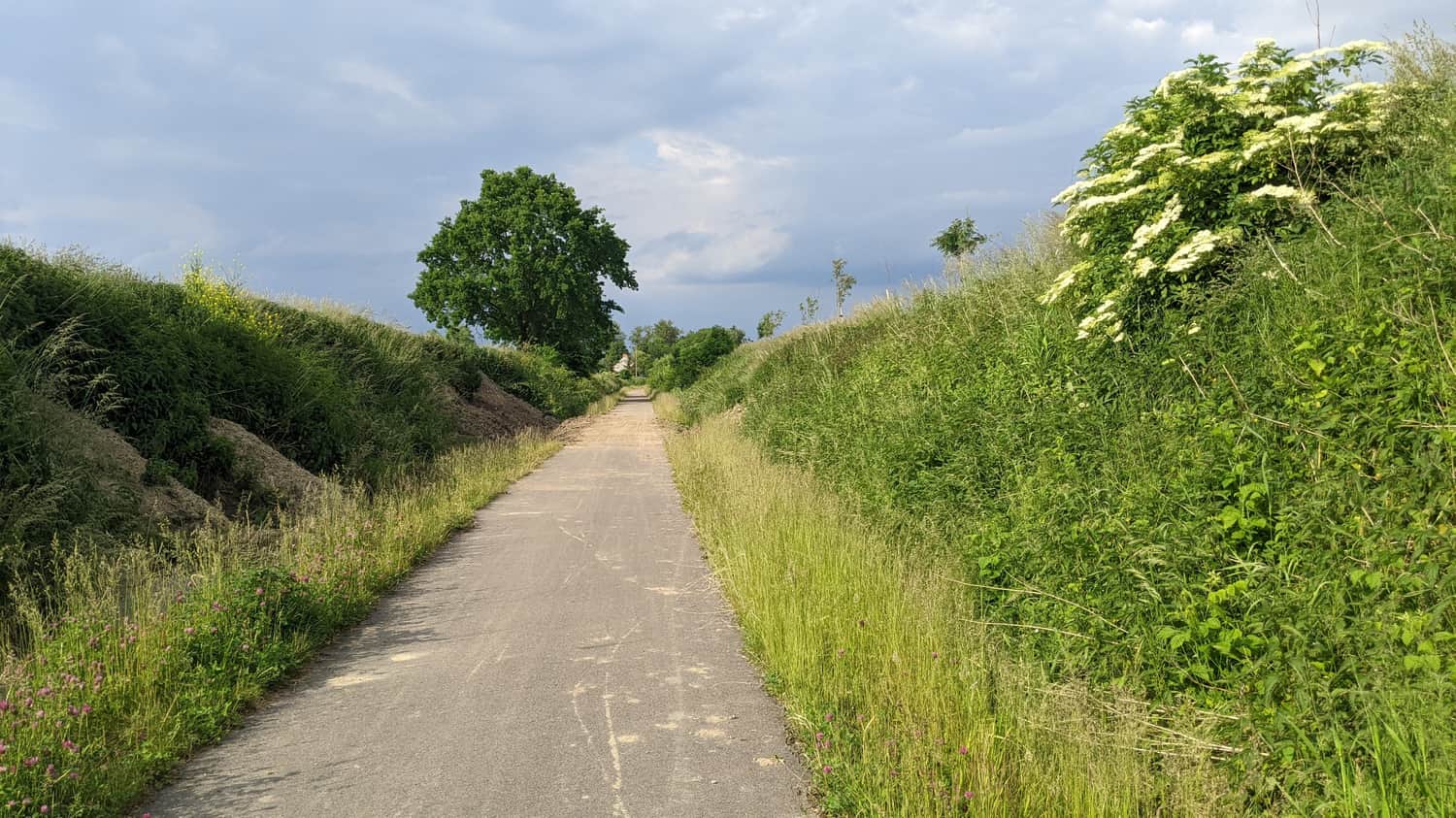 Trasa rowerowa Trzebiatów - Mrzeżyno: przejazd wąwozem