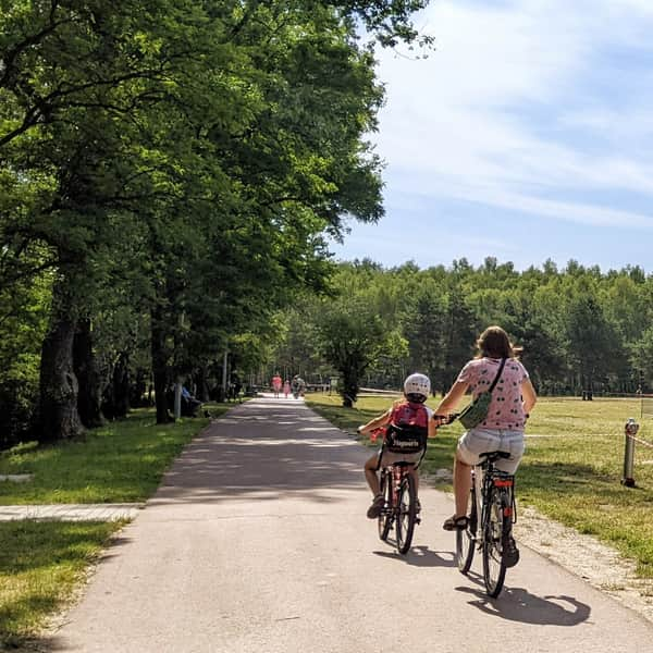 Cycling and Walking Route around Sosina Reservoir in Jaworzno