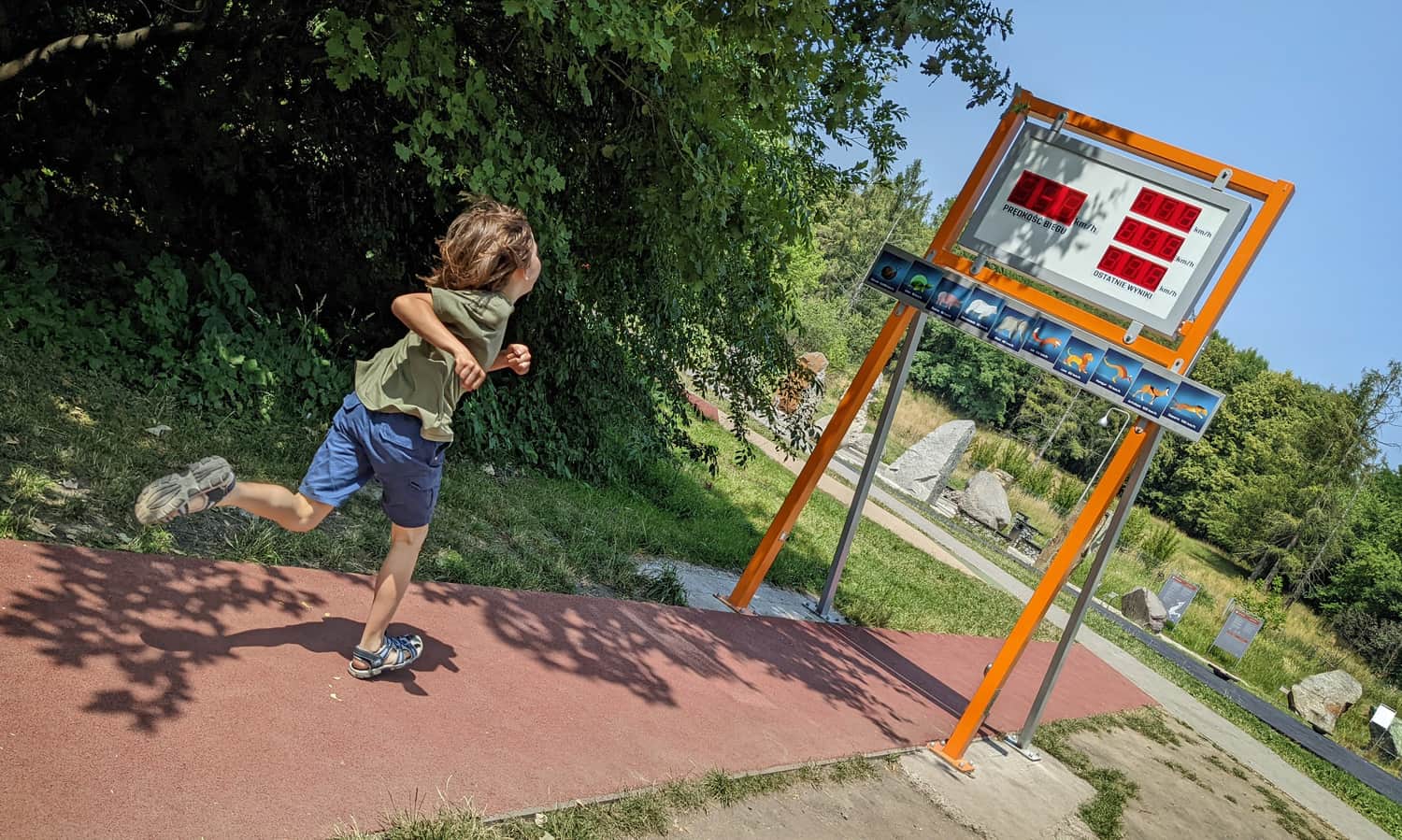 Ogród Doświadczeń. Naukowa siłownia: mierzymy prędkość biegu