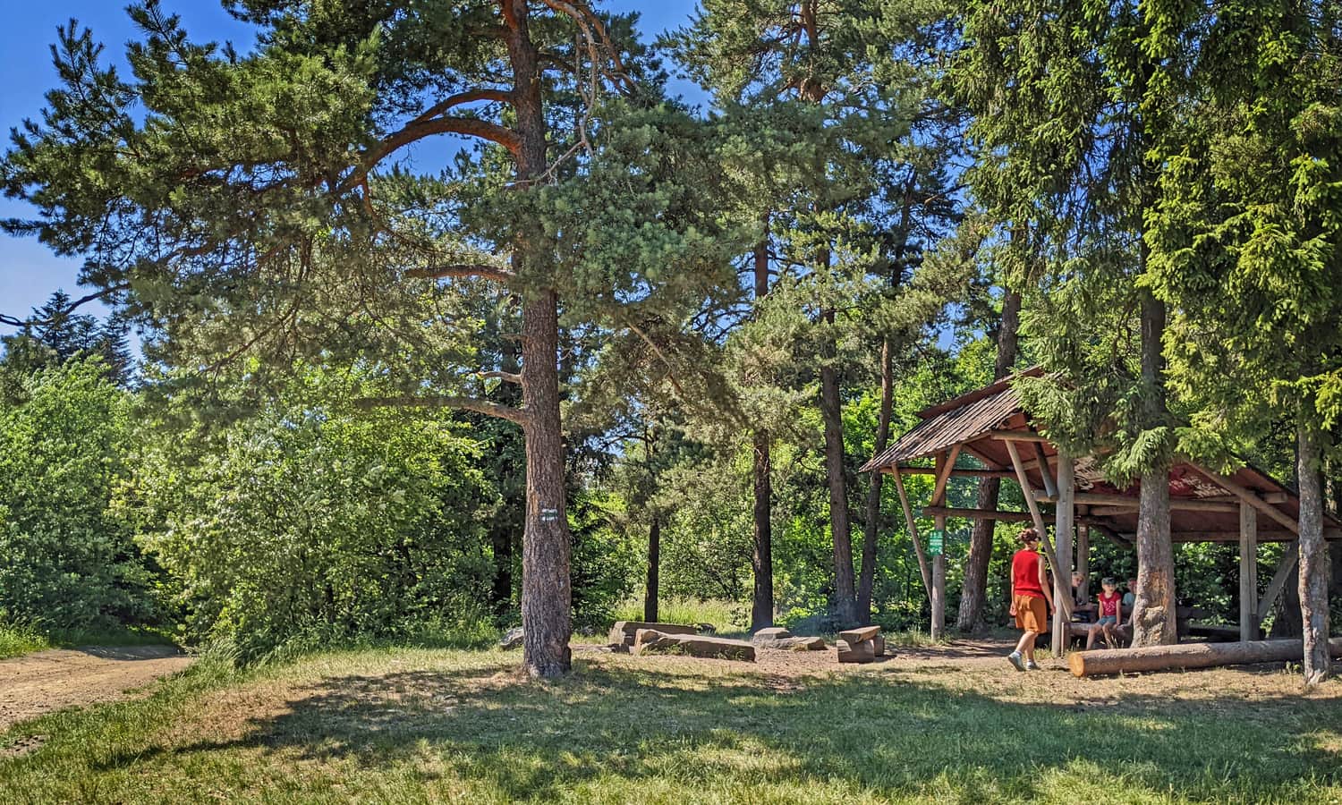 Sucha Polana: miejsce na ognisko i wiata