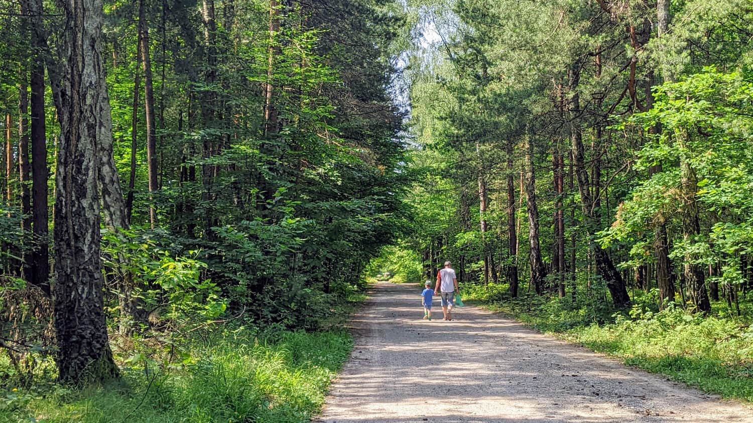 Wejście do Puszczy Dulowskiej od strony Trzebini
