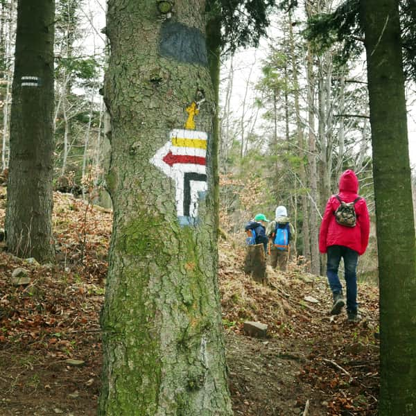 Czarny szlak na Magurkę Wilkowicką