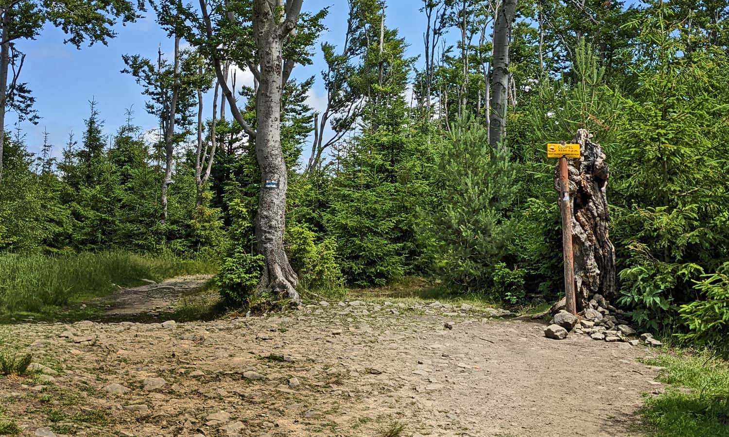 Czupel, the highest peak of the Beskid Mały - 1 of 2 peaks
