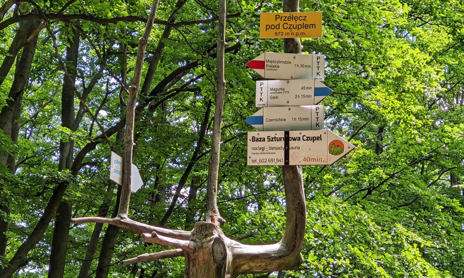 Przełęcz pod Czuplem - trails