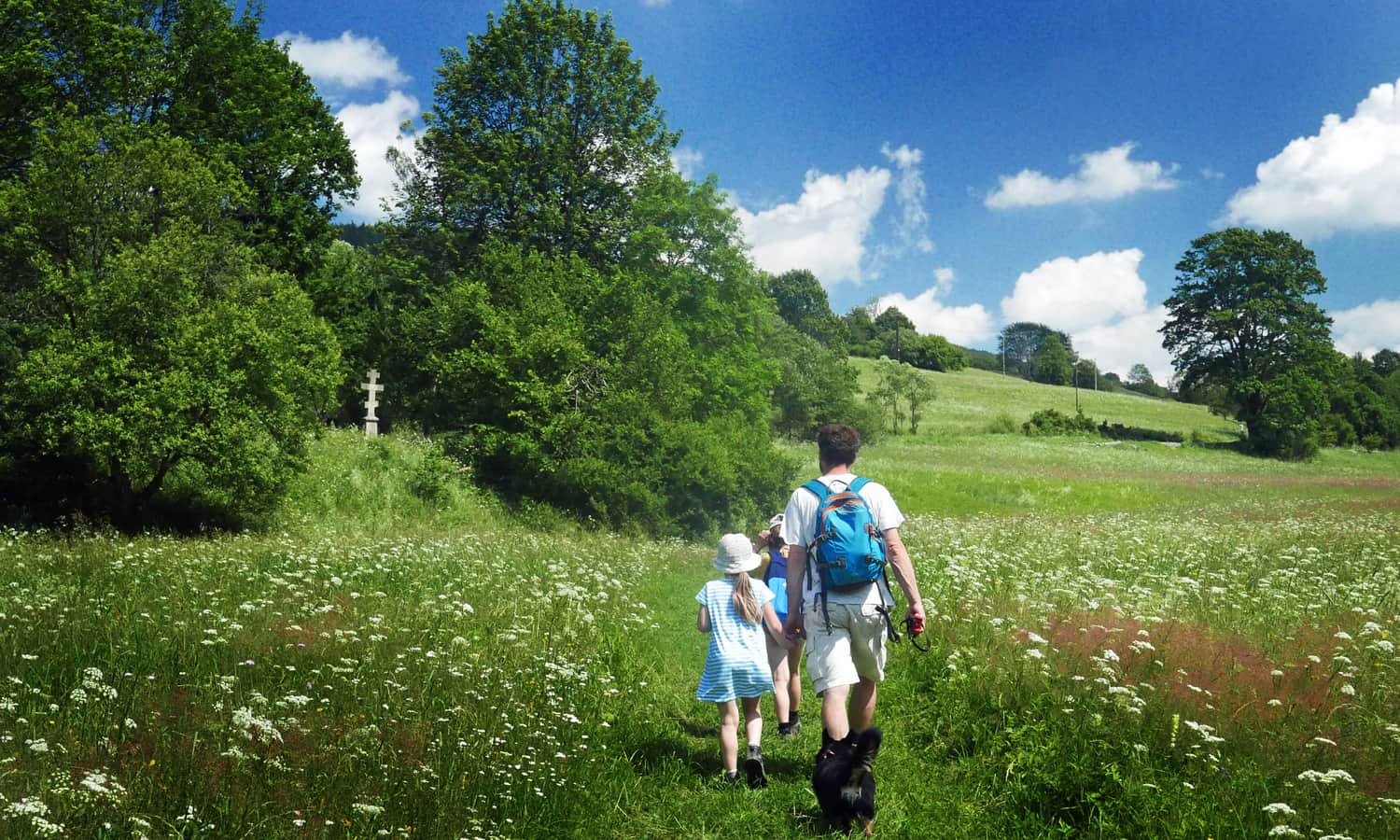 Z psem na magurskich łąkach, Beskid Niski 2020 r.