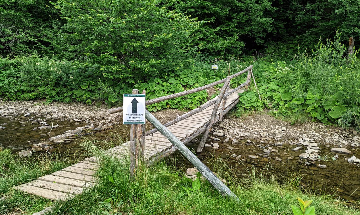 Path from Muczne to the viewing tower on Jeleniowatym