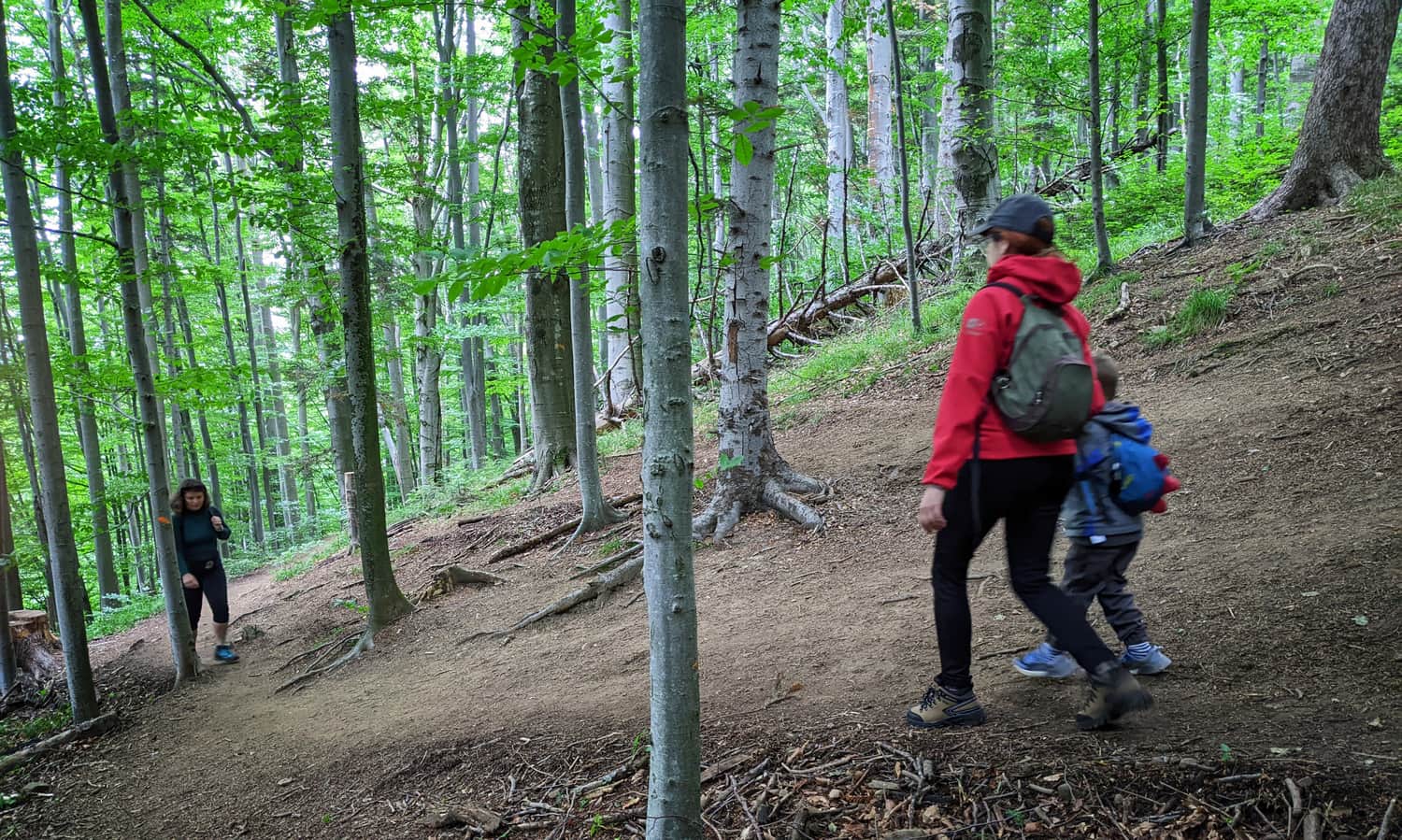 Steep forest path from Muczne to the viewing tower, going downhill won't be easy either...