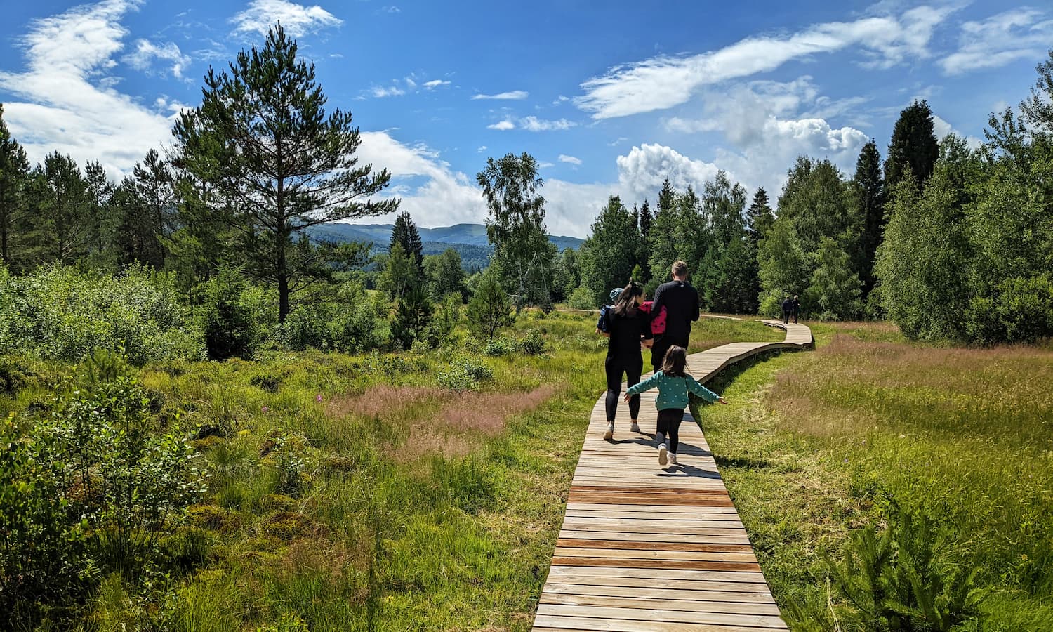 Tarnawa Peat Bog - longer trail