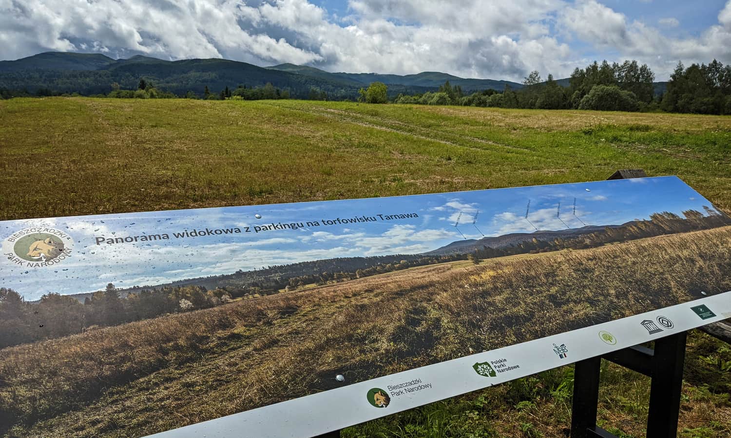 Panorama gór na torfowisku Tarnawa