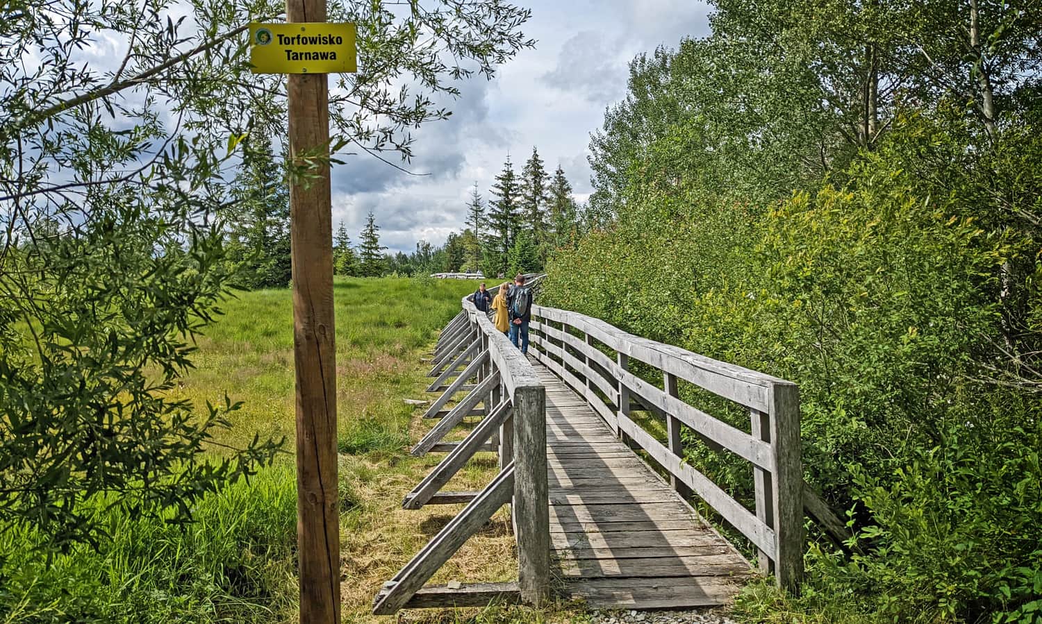 Entrance to the shorter bridge at Tarnawa Peat Bog