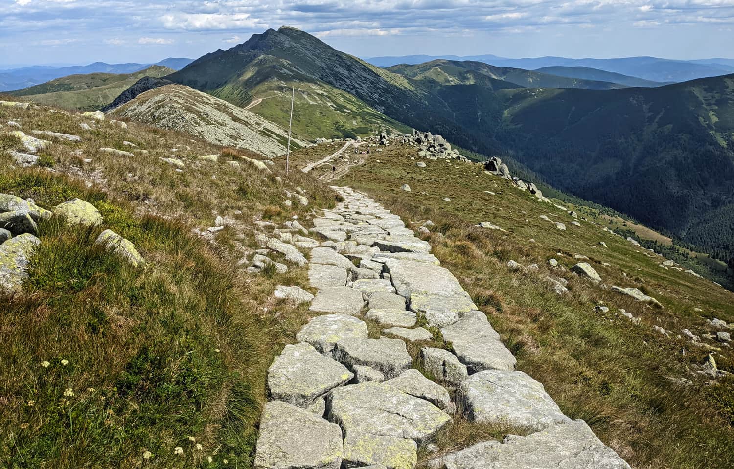 Szlak Chopok (2024 m. n.p.m.) - Dziumbier (2043 m. n.p.m.) Zejście w stronę Przełęczy Demianowskiej