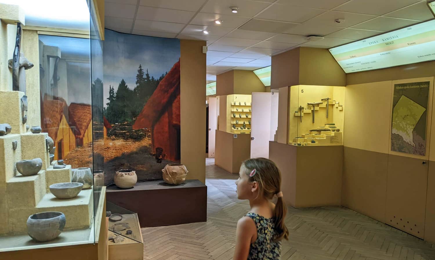 Muzeum w Rzeszowie - wystawa archeologiczna