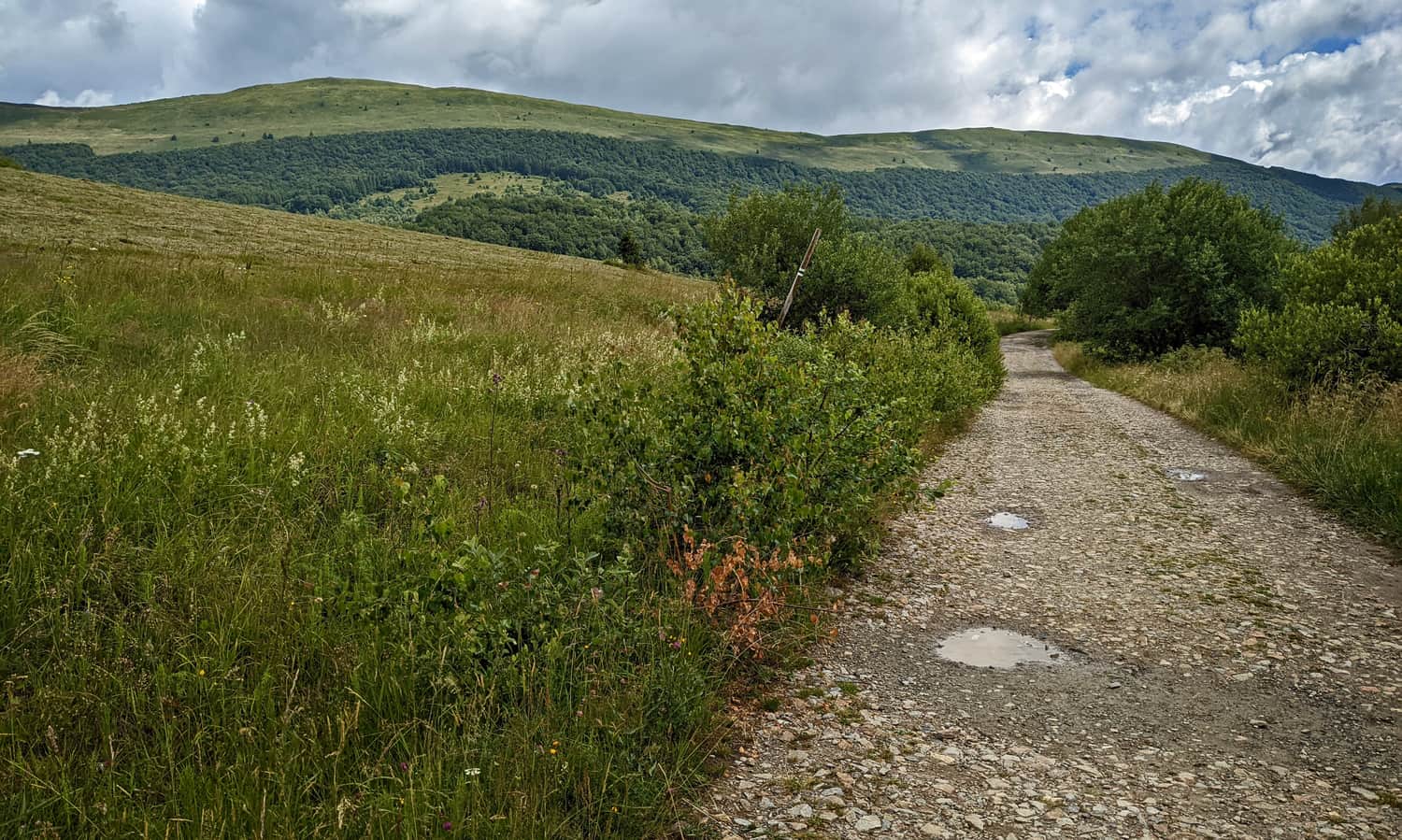 Połonina Caryńska from the green trail to Bacówka pod Małą Rawka
