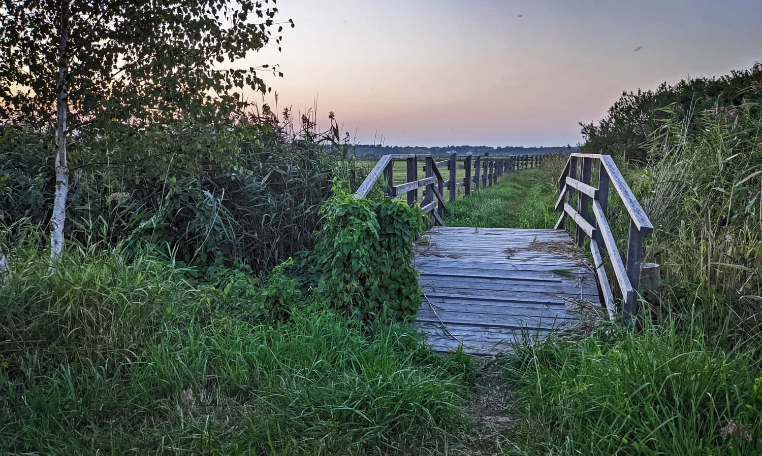 Rezerwat Beka - ścieżka edukacyjna, fragment wzdłuż zatoki