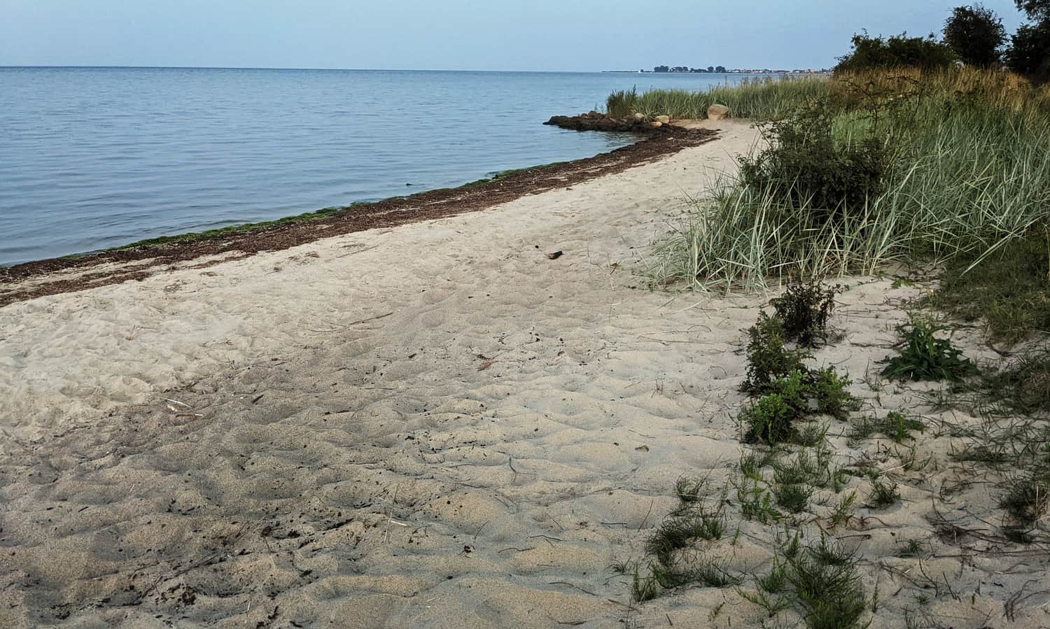 Kształtowane wyłacznie przez naturę dzikie wybrzeże zatoki w Rezerwacie Beka