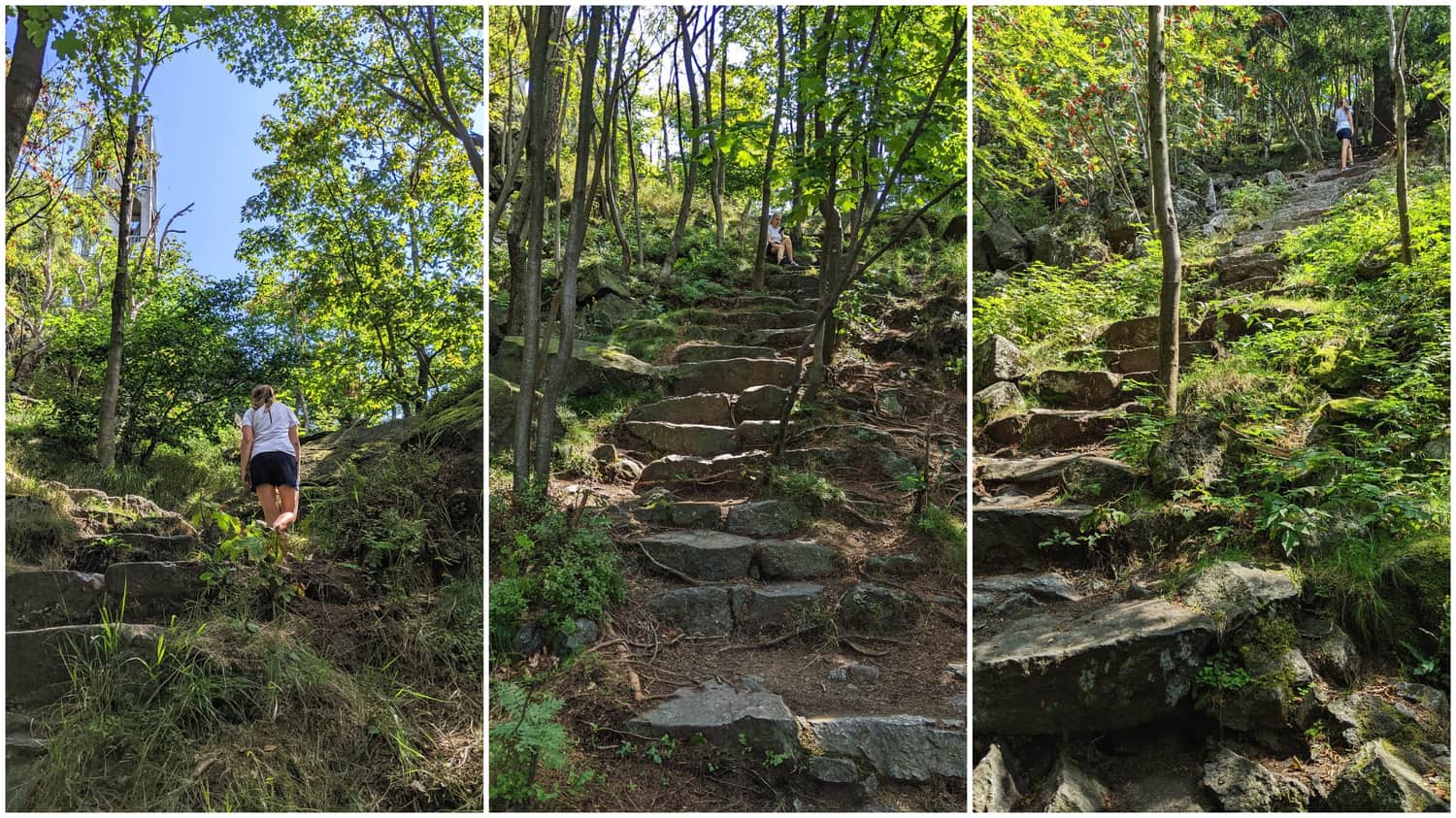 Ślęża blue trail - ascent to the summit