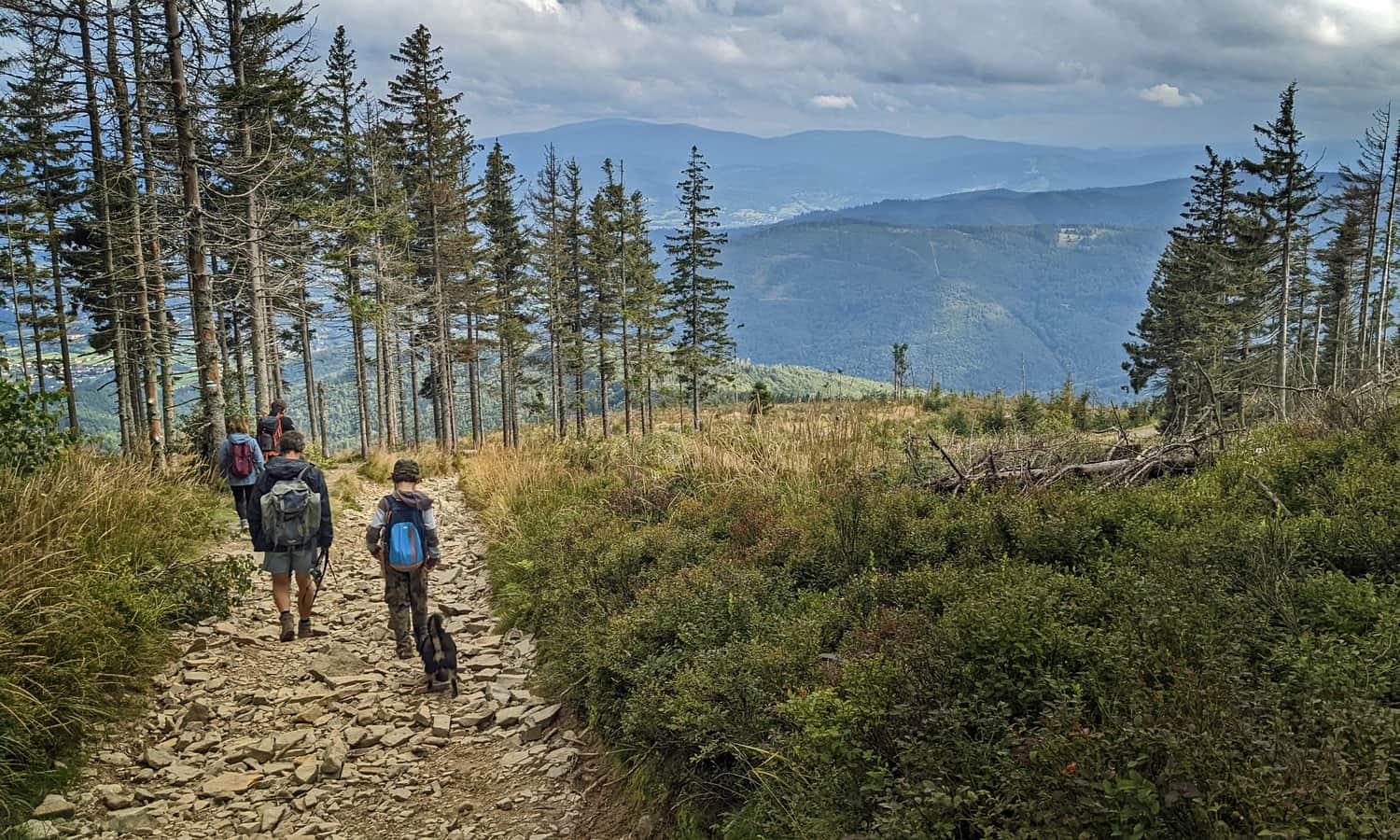 Blue trail to Skrzyczne from Lipowa - views