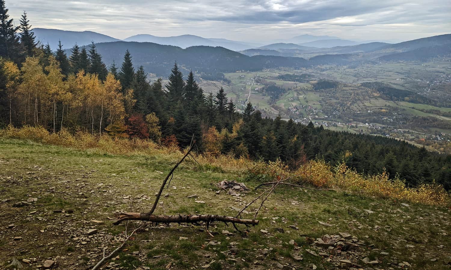 Wielkie Pole - polanka widokowa pod szczytem Cietnia
