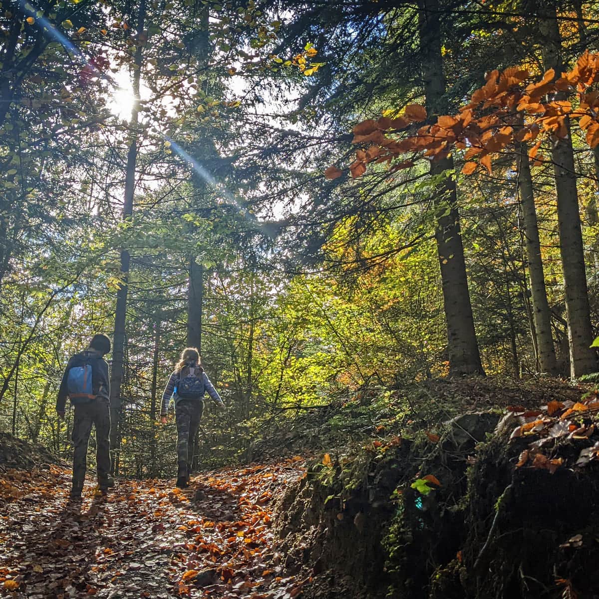 Beskidy: szlaki na jesień