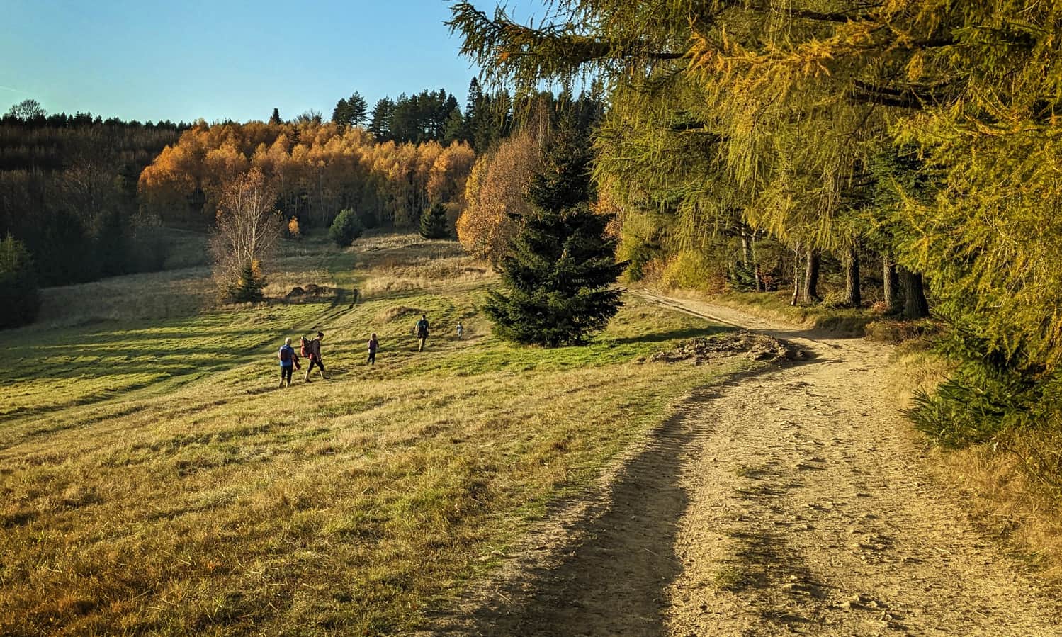 Blue trail to Radziejowa - meadows in Obidza