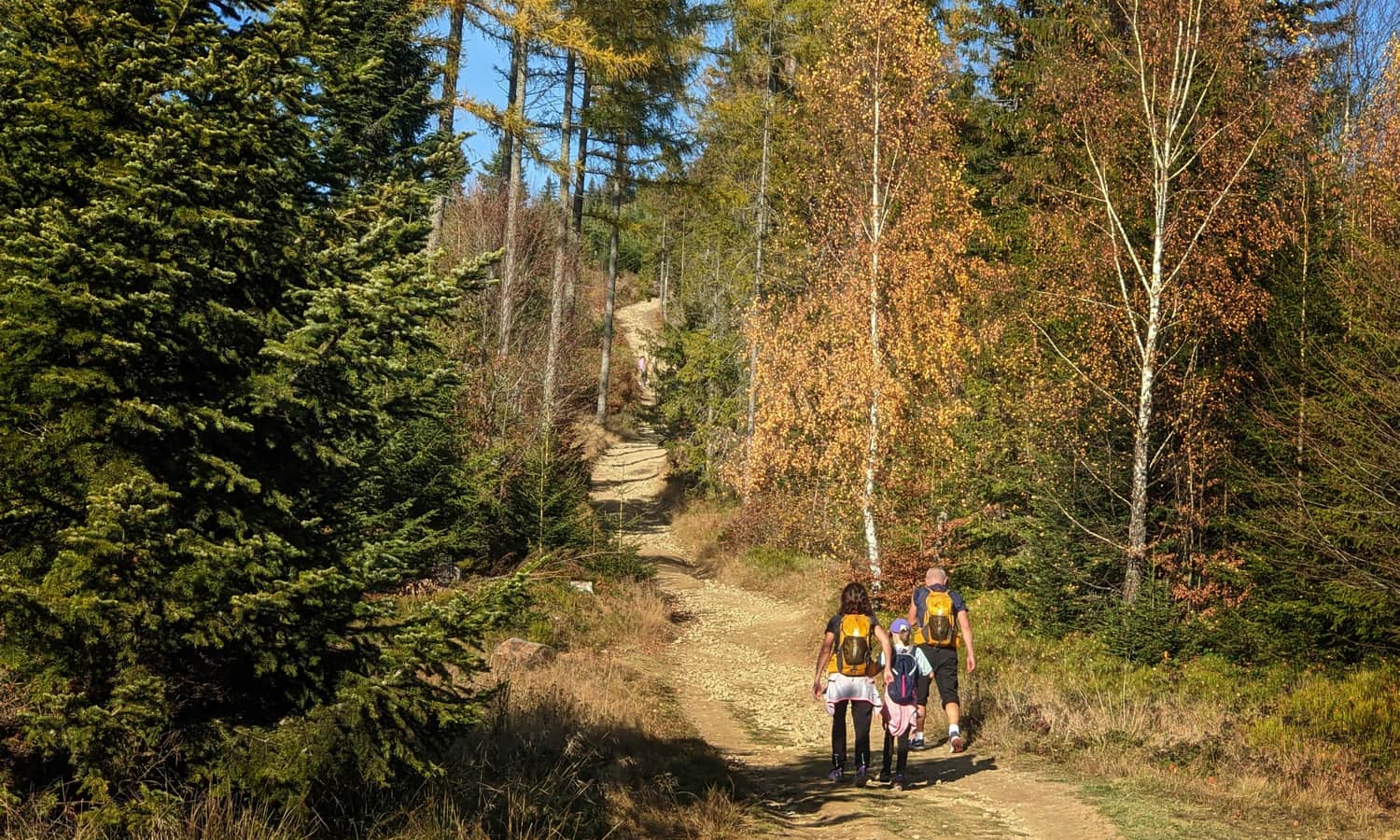 Blue trail to Wielki Rogacz - final section