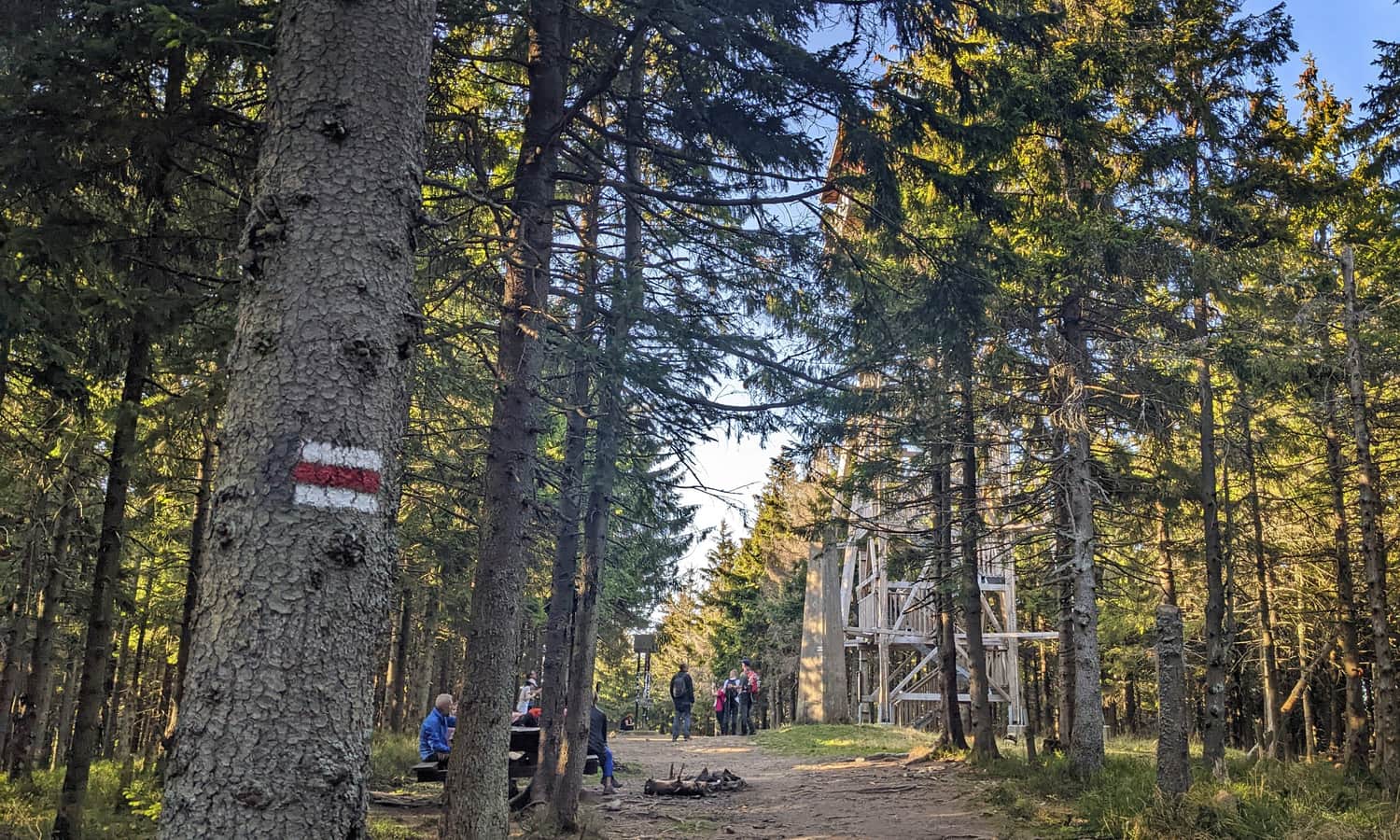 At the summit of Radziejowa, the highest peak of the Sądecki Beskids