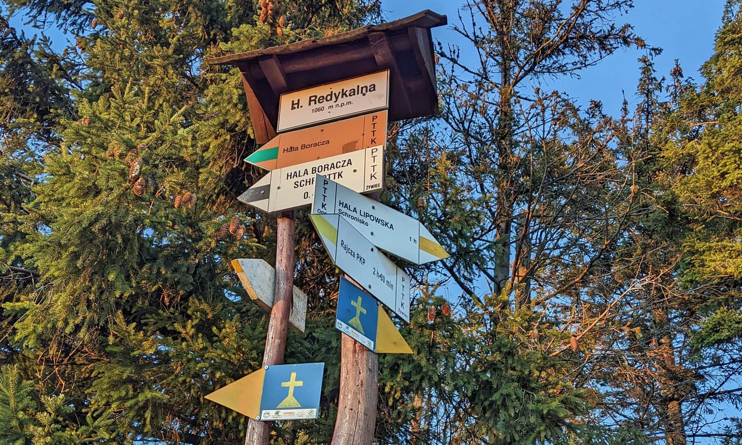 Hala Redykalna pod Boraczym Wierchem