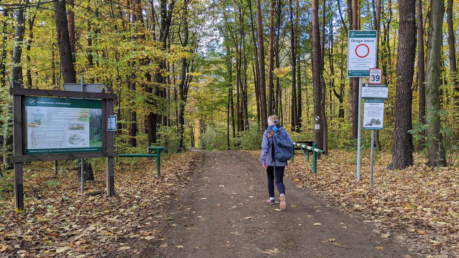 Wejście do Lasu Zabierzowskiego przy radarze Zapałka