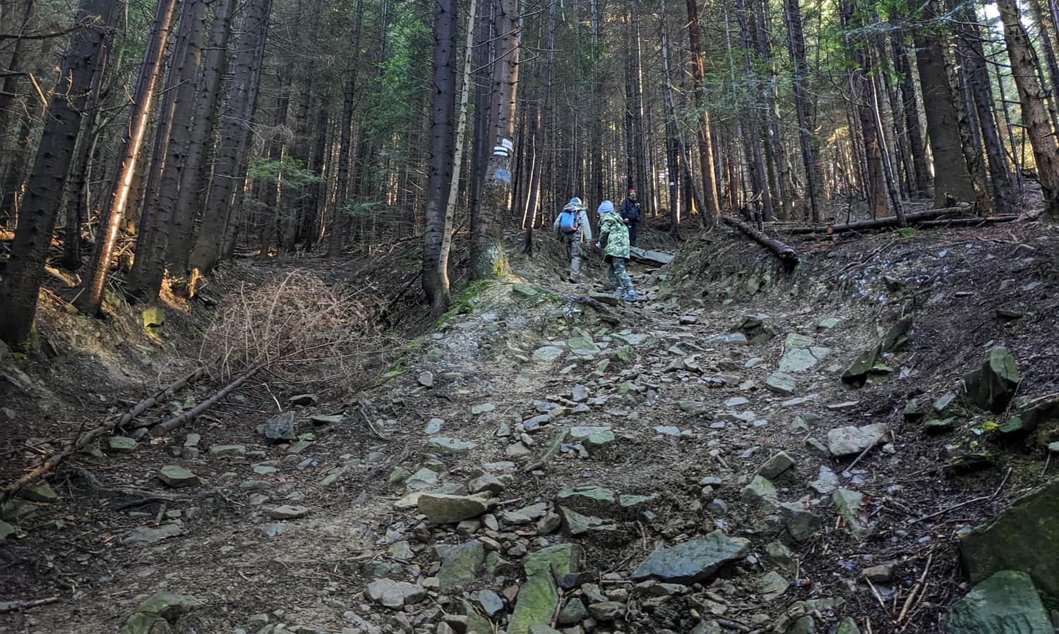 Steep climb on Mały Szczebel