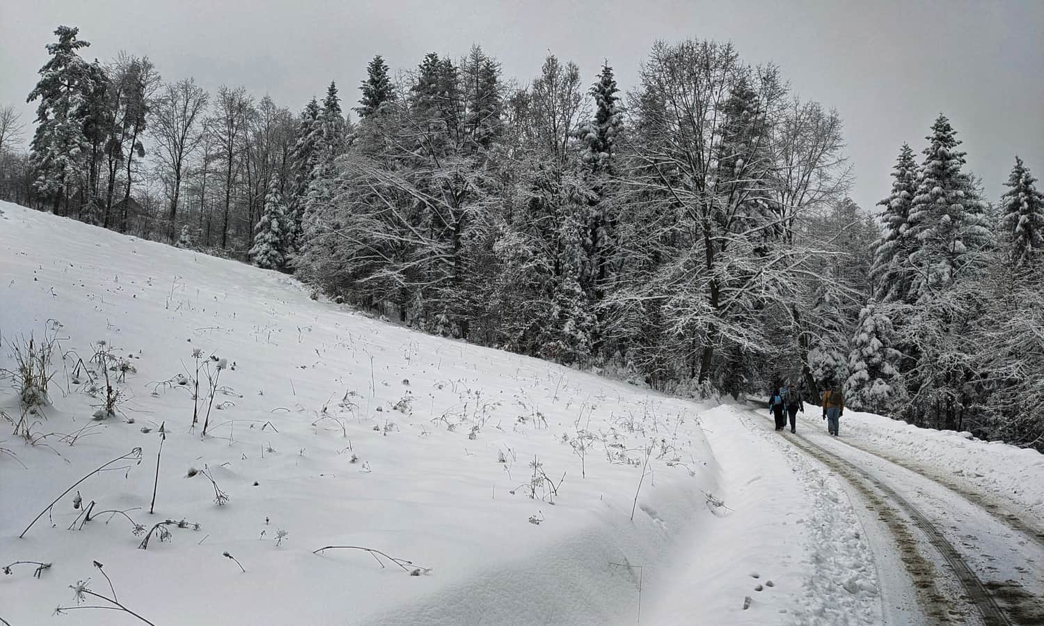 Z Poręby na Kudłacze - zima