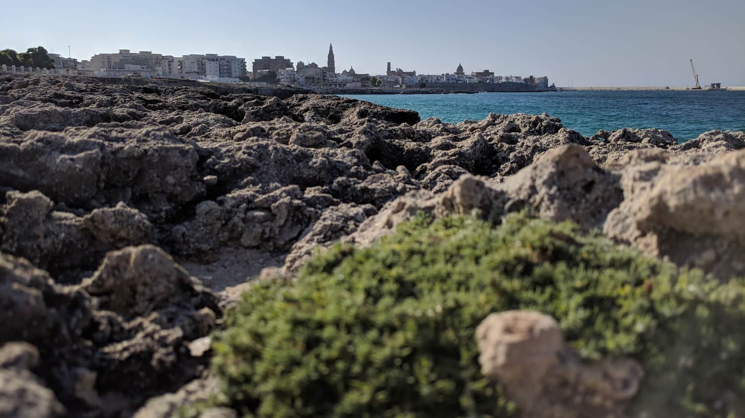 View of Monopoli from the southern coast